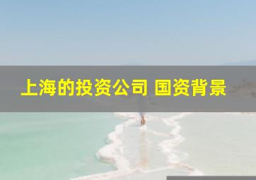 上海的投资公司 国资背景